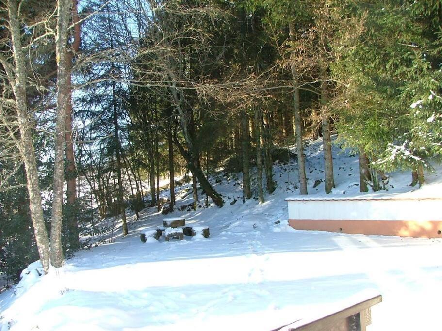 Maison D'Altitude Avec Vue Panoramique A Gerardmer Exterior photo